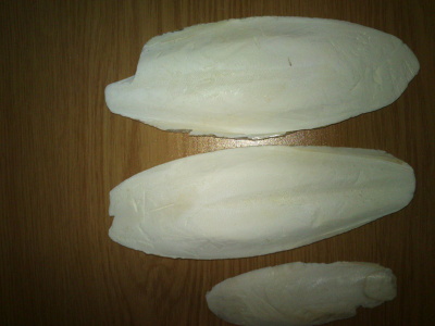 Панцирь каракатицы (сепия) 6-9  см, набор 3 шт